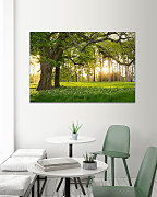 Obraz Potulky po Slovensku 1675